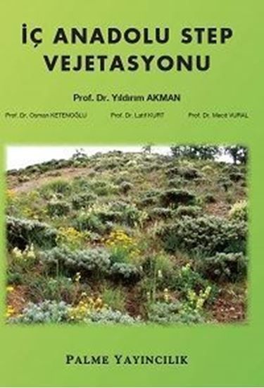 Palme İç Anadolu Step Vejetasyonu