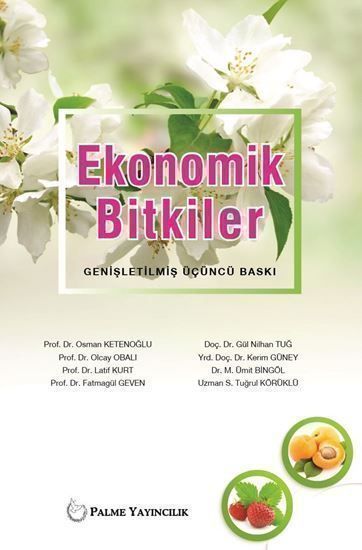 Palme Ekonomik Bitkiler