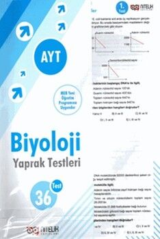 Ayt Biyoloji Yaprak Test
