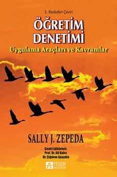 Pegem Akademi Öğretim Denetimi