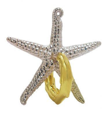 Starfish Denizyıldızı