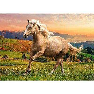Trefl Puzzle  Afternoon Gallop In The Sun  500 Parça