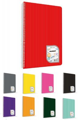 Çınar Colormaxi A4 Spiralli PP Kapaklı Kareli Defter 60 Yaprak 73014
