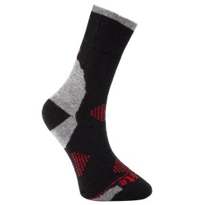  Evolite Alpen Merino Çorap