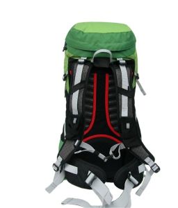  Evolite Walker 40