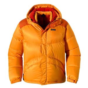  Patagonia Kaz Tüyü Down Parka