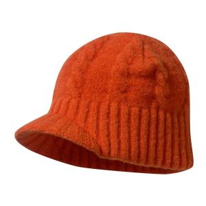  Patagonia Visor Beanie