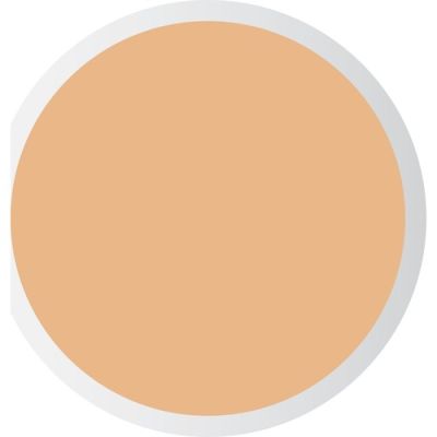  PASTEL PROFASHION LİKİT CONCEALER 104