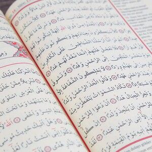  Elmalı Hamdi Yazır Kur an-ı Kerim ve Yüce Meali Bilgisayar Hatlı 3 Boy Seçenekli