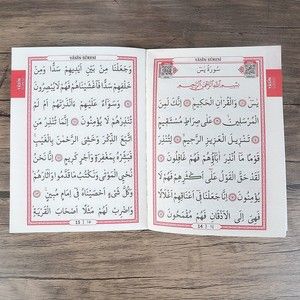  Yasin Kitabı 10 Adet Çanta Boy(12x16 80 Sayfa) İsme Özel Etiketli Mevlüt İçin-Gold
