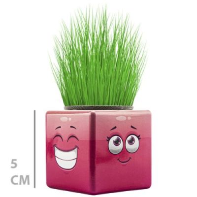  Çim Adam Mini Küp Emoji Figürlü 1 Adet