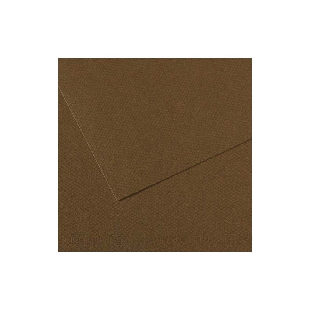 Canson Mi-Teintes Pastel Kağıdı 50x65 160g Brown 501