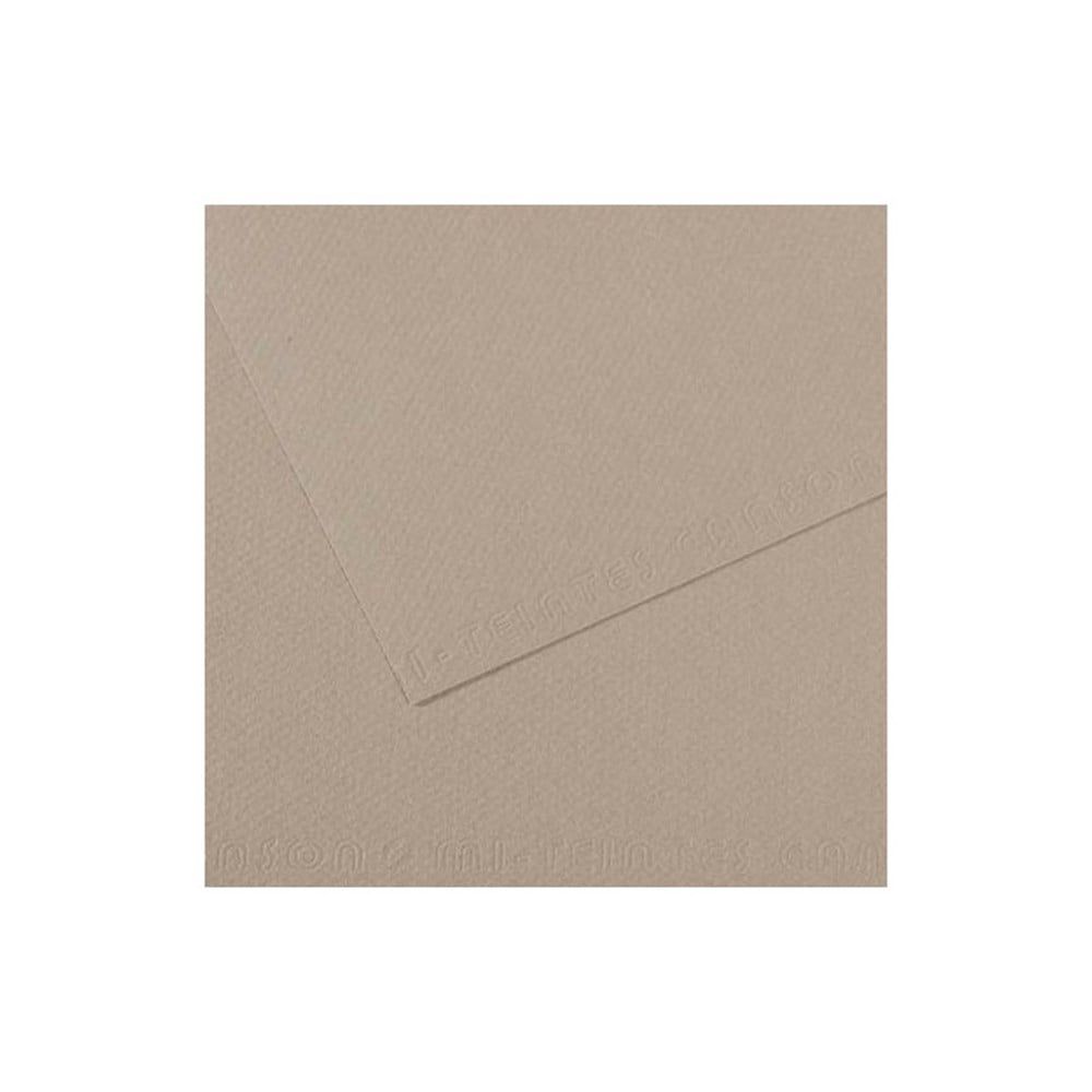 Canson Mi-Teintes Pastel Kağıdı 50x65 160g Grey 122