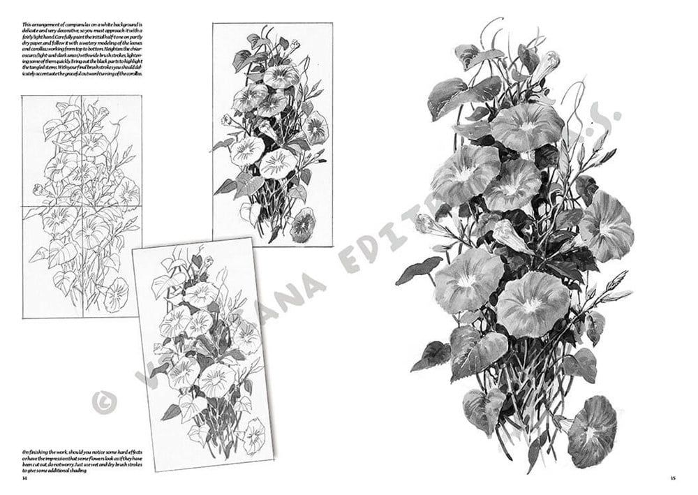  Leonardo Collection Desen Kitabı Flowers N: 20 Çicekler N: 20