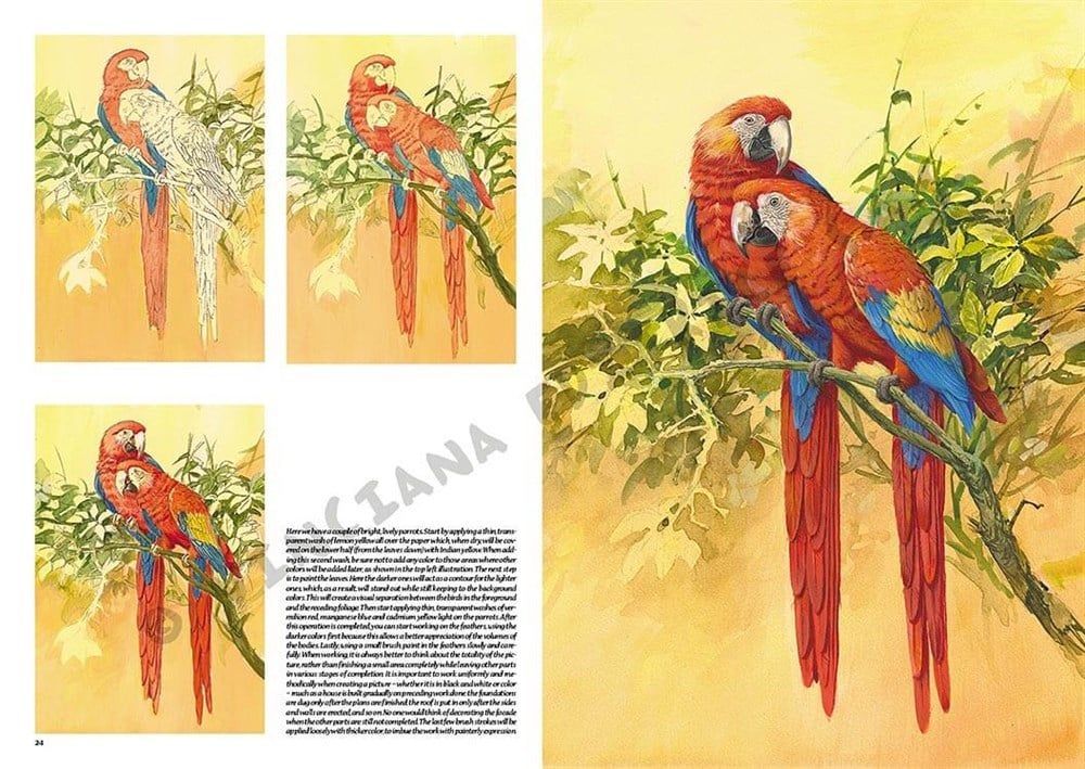  Leonardo Collection Desen Kitabı Birds N: 28 Kuşlar N: 28