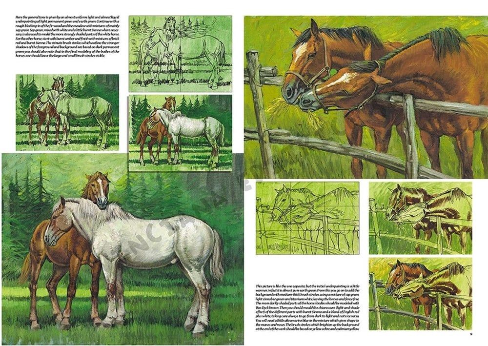  Leonardo Collection Desen Kitabı Horses No: 6 Atlar N: 6