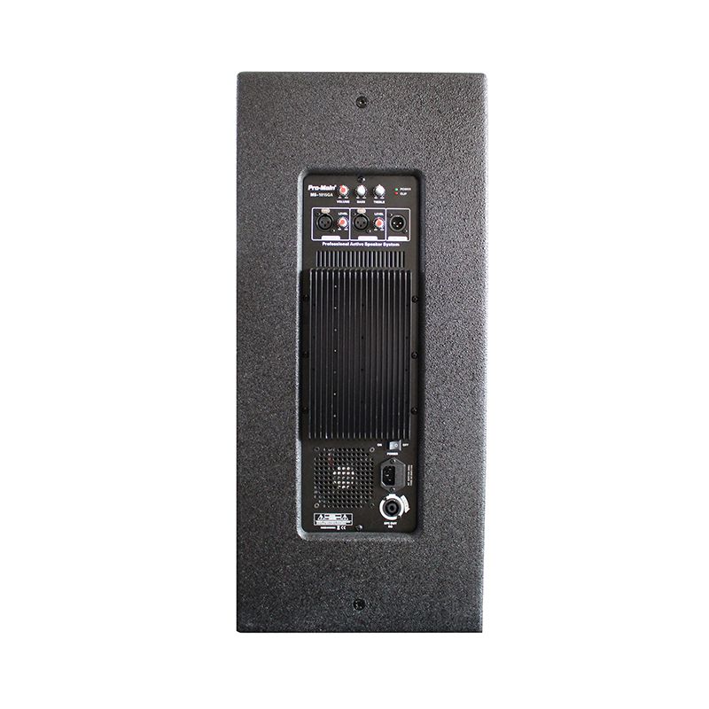  PROMAIN MS-1015GA 600 WATT 38 CM AKTİF AHŞAP KABİN HOPARLÖR