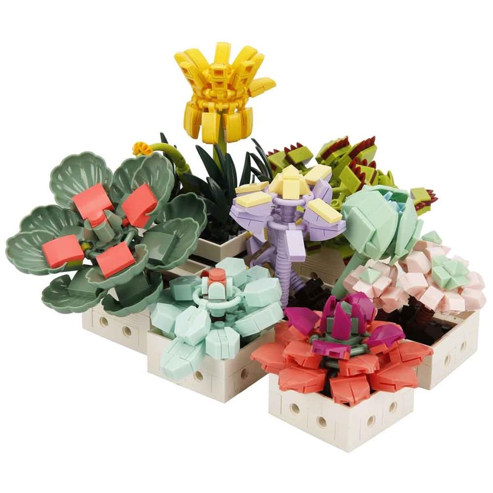  S00004685 BLX FLOWER SET SCULENT 971 PRÇ -SUN