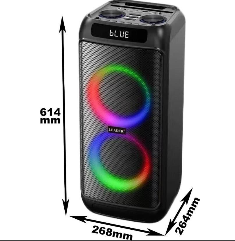 Leader LP-6050 Taşınabilir Ses Sistemi #2