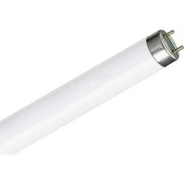 Philips TL-D 18W Snow White Floresan