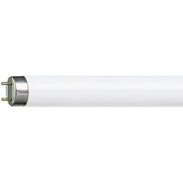 Philips TL-D 36W Snow White Floresan #2