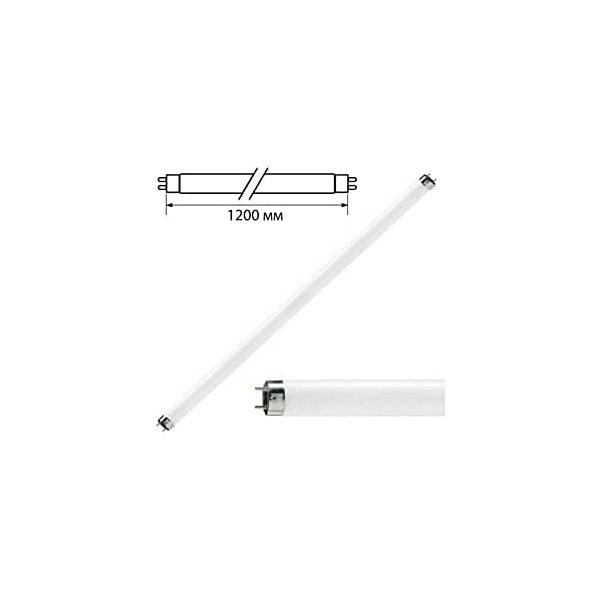 Philips TL-D 36W Snow White Floresan #3