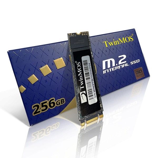  TwinMOS 256GB NGFFEGBM2280 580-550MB/s M2 SATA-3 DİSK #3