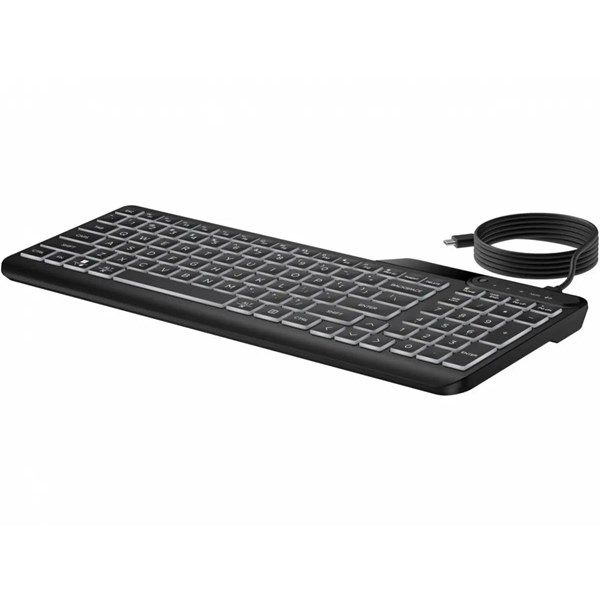HP 405 7N7C1AA Aydınlatmalı Usb Türkçe Klavye - Siyah #2