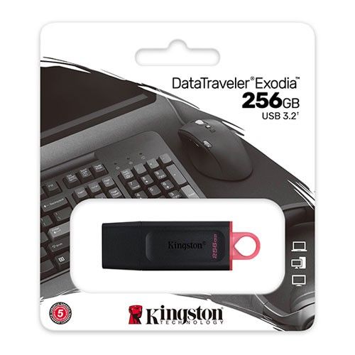 KINGSTON 256GB USB3.2 DTX/256GB USB BELLEK #1